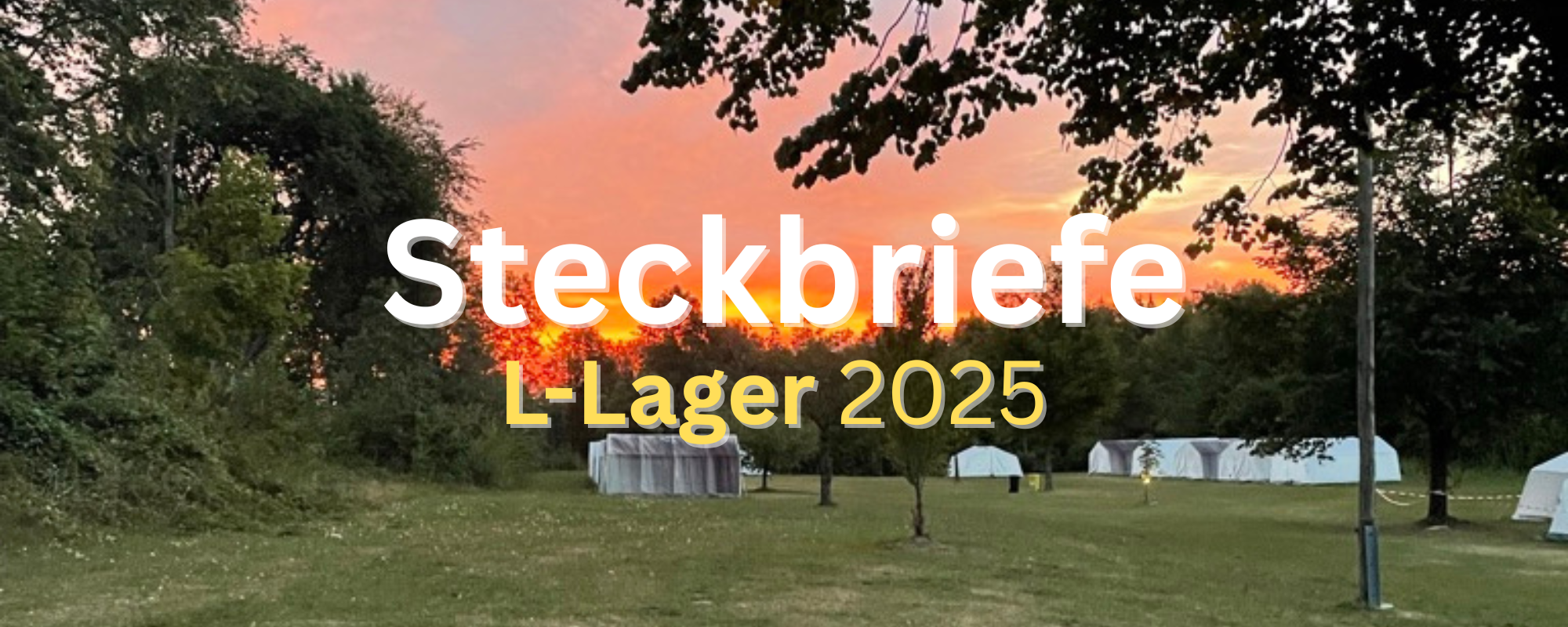 Steckbriefe des L-Lager 2025